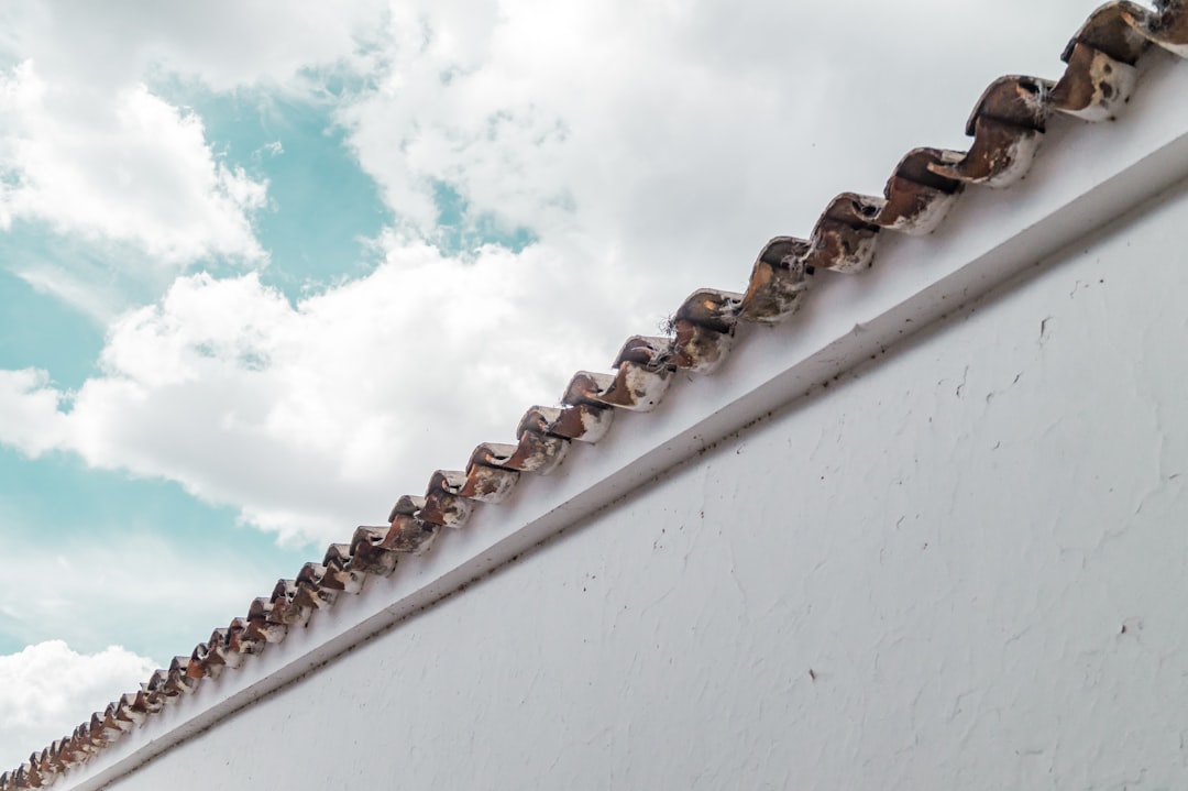 brown metal chain on white wall