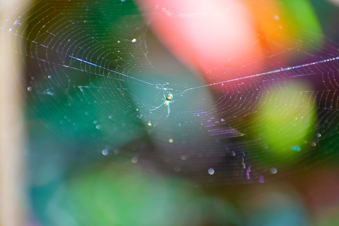 11 Microinteractions That Make HTML Templates Feel Premium